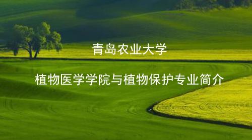 beat365亚洲体育官方网站植物保护专业介绍